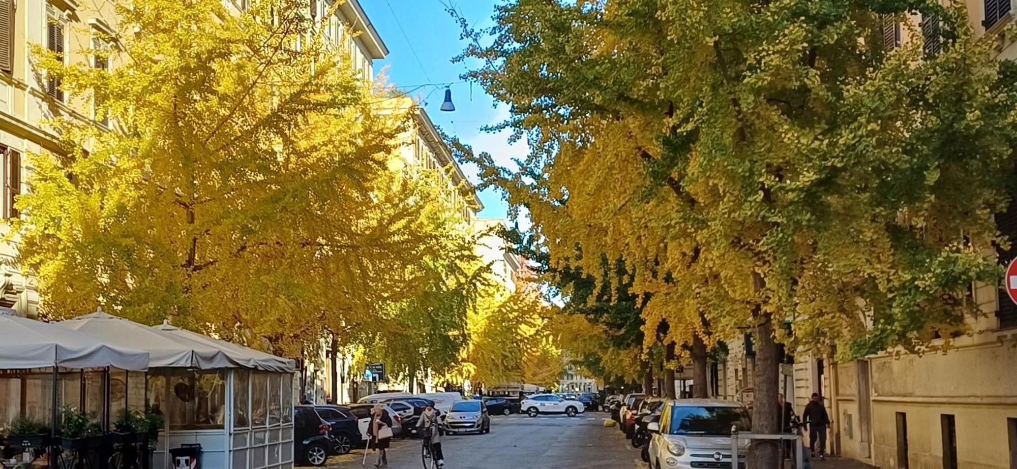 La Casa Dei Papi 71 Apartman Róma Kültér fotó
